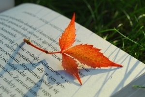 Z książką pod jesiennym liściem